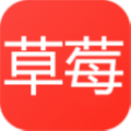 草莓免费短剧app官方版