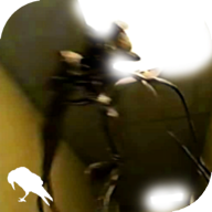 暗房backrooms游戏