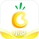 菠萝小说最新版