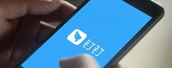 钉钉怎么发短视频