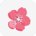 桃花里app手机版