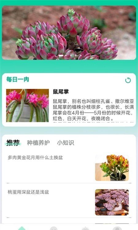 掌中百科截图3
