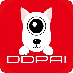 盯盯拍行车记录仪app