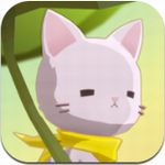亲爱的我的猫咪