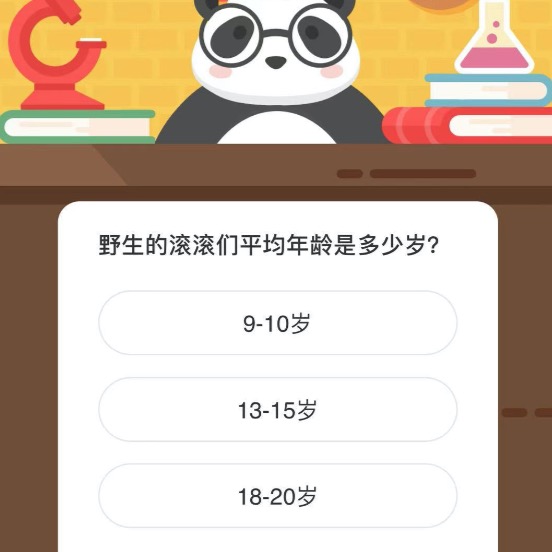 野生的滚滚们平均年龄是多少岁？微博森林驿站1月6日今日答题答案